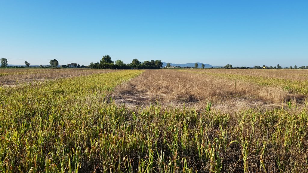 Miglioramenti ambientali