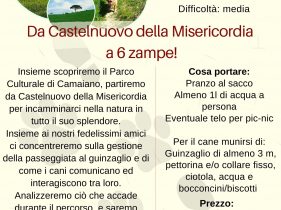 Da Castelnuovo della Misericordia a 6 zampe!