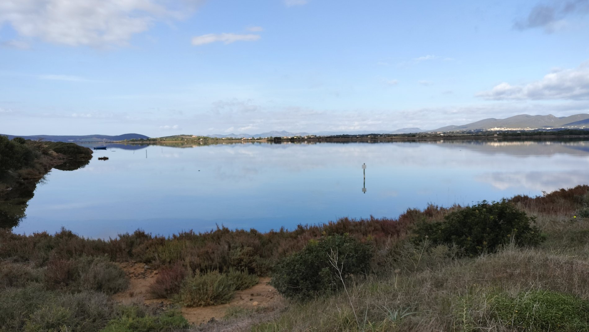 Zona umida monitorata nel Sud Sardegna