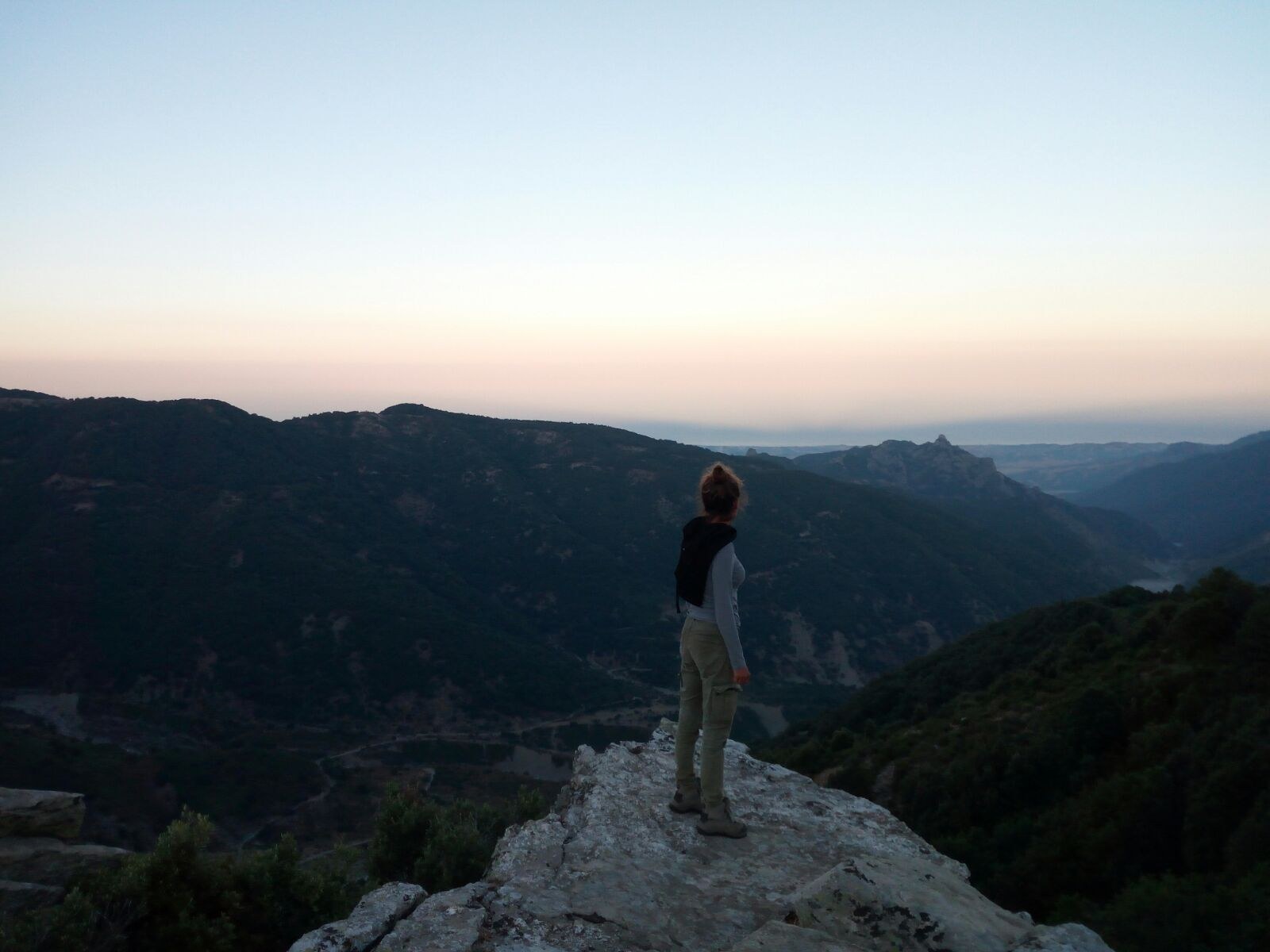 Monitoraggio lupo in Aspromonte - foto 1