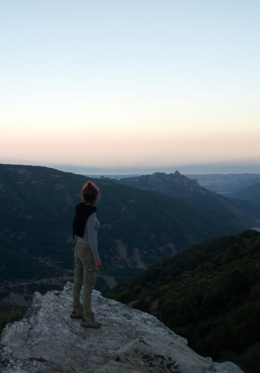 Monitoraggio lupo in Aspromonte - veduta